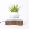 Levitating Air Bonsai Pot - paulapicks