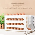 4 Tiers Egg Holder for Fridge paulapicks