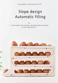 4 Tiers Egg Holder for Fridge paulapicks