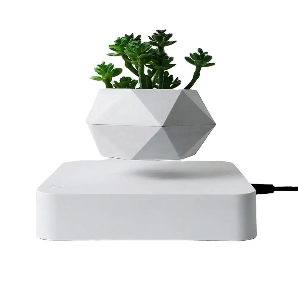 Levitating Air Bonsai Pot - paulapicks