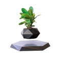 Levitating Air Bonsai Pot - paulapicks