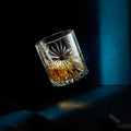 The Eco Crystal Collection - Soleil Whiskey Glass Edition - paulapicks