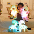 LED Teddy Bear - paulapicks