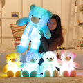 LED Teddy Bear.