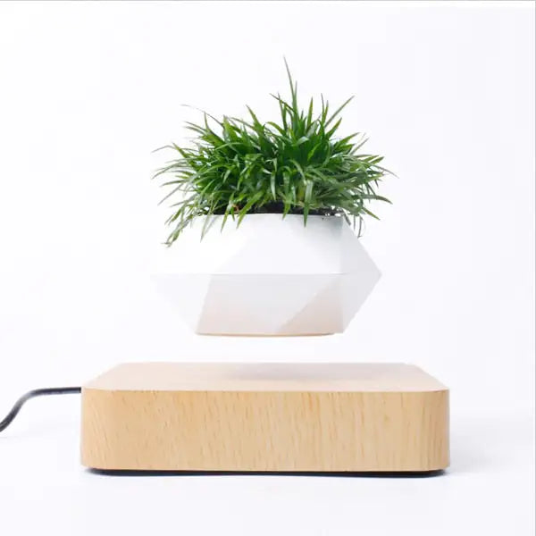 Levitating Air Bonsai Pot - paulapicks