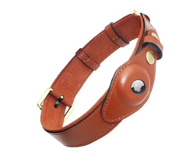 Leather Anti-Lost Dog Collar - paulapicks