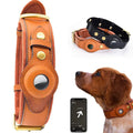 Leather Anti-Lost Dog Collar.